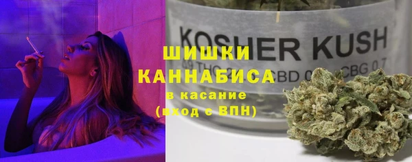 твердый Богданович