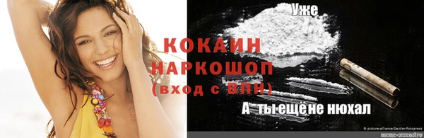 твердый Богданович