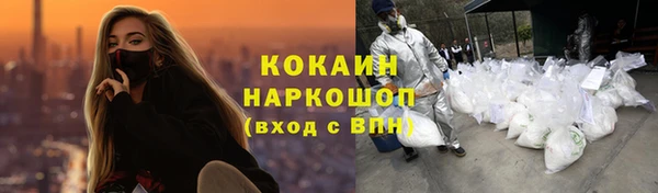 твердый Богданович