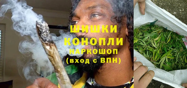 твердый Богданович