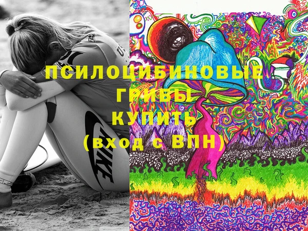 твердый Богданович
