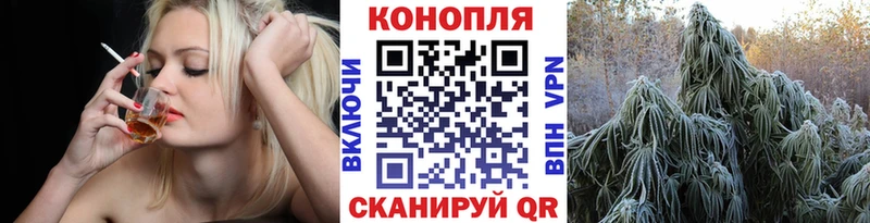Каннабис индика  Дмитров 